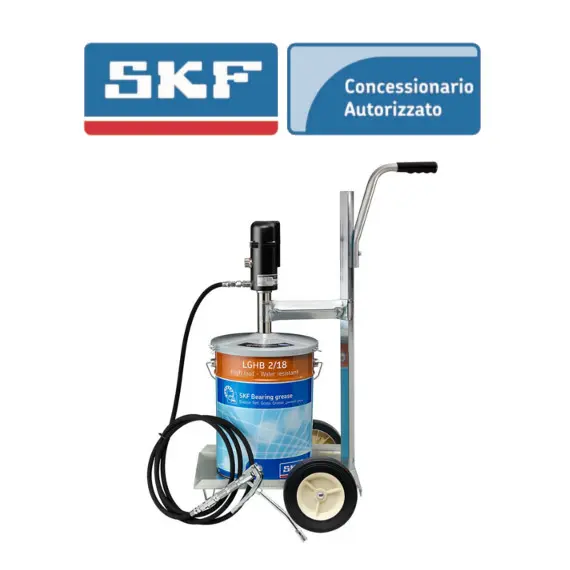 Kit pompa grasso doppio uso, con cartuccia Bio Grease, Maestri